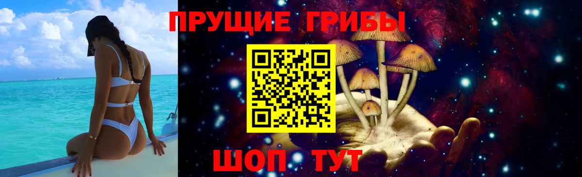 Галлюциногенные грибы MAGIC MUSHROOMS  Вход с VPN  цена   Галлюциногенные грибы GOLDEN TEACHER  Ачинск 