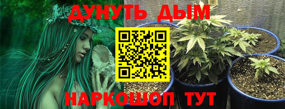 Конопля тримм Ачинск
